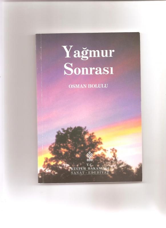 YAĞMUR SONRASI